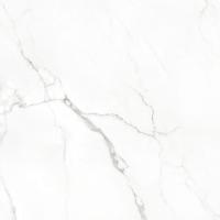 Керамогранит STATUARIO BRILLO rect. Porcelanico 60х60