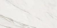 Керамогранит CALACATTA SUPERWHITE SATIN 60x120