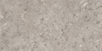 Керамогранит BIERZO GRIS SEDA 60X120