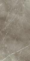 Керамогранит СТЕ.ТУС.ГРЭЙ 60X120 ШЛИФ, 9мм, 60x120 (610015000681)
