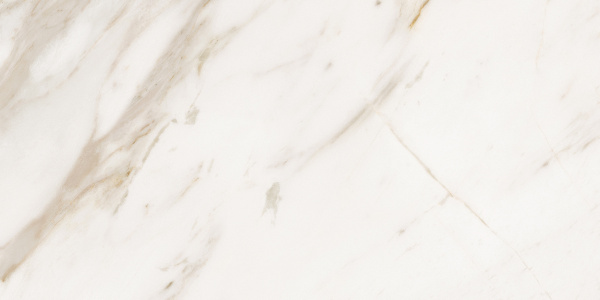Керамогранит CALACATTA GOLD 60x120 matt